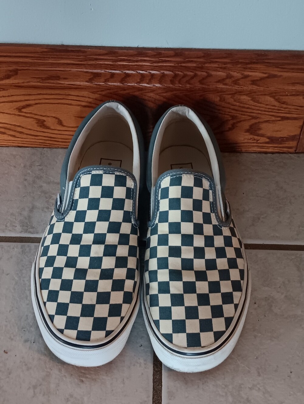 Vans Slip On Shoes
